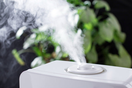 air humidifier